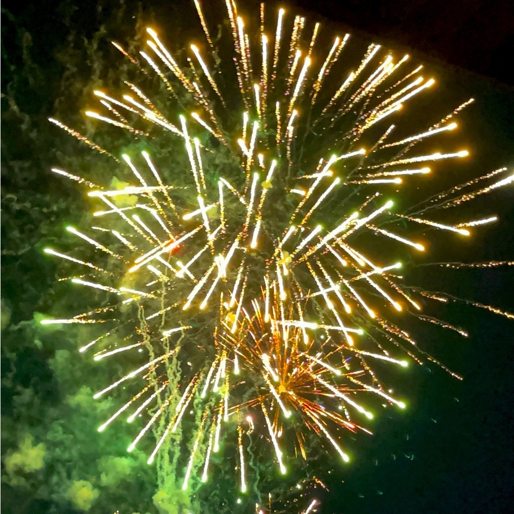 Meet your Posher, Margie